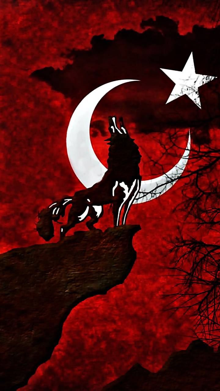 720x1280 Turkey Flag Wallpapers - Лучшие бесплатные фоны с флагом Турции - WallpaperAccess