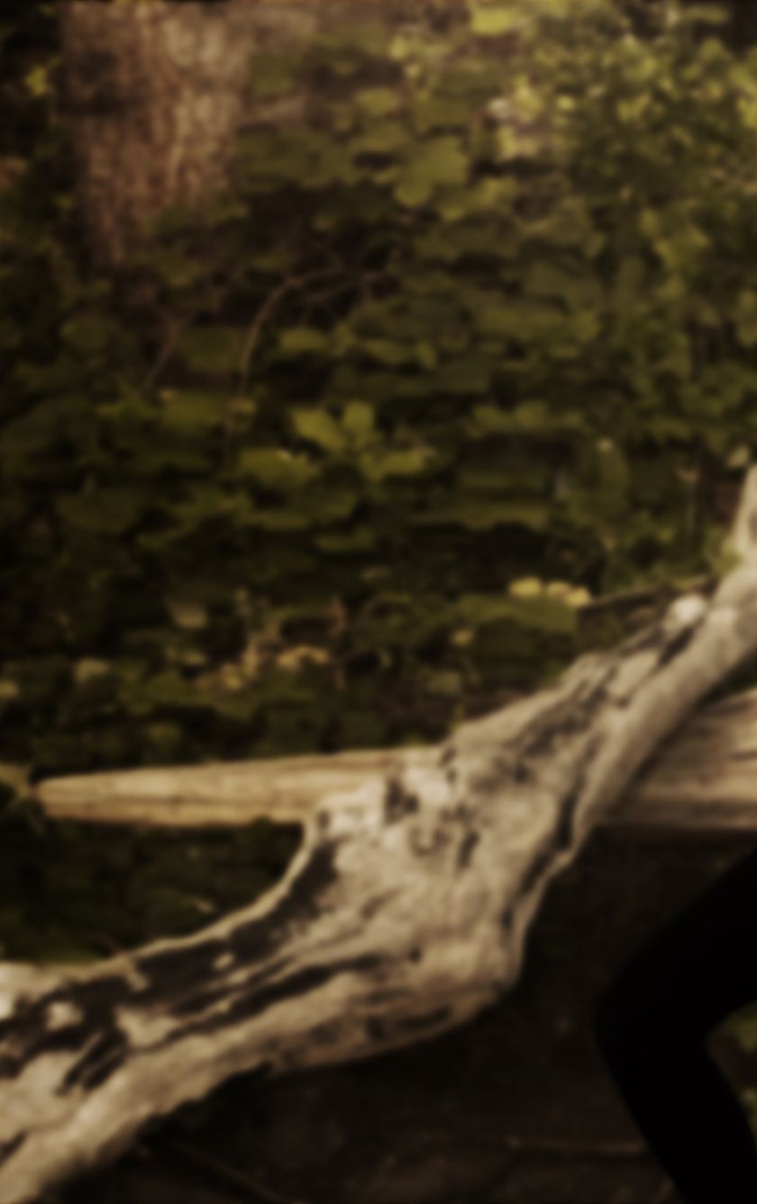 840x1336  Бритт Робертсон событие в Fashion's Night Out Stills ~ Фотографии Actress Actress, Болливуд, Голливудская горячая актриса фото