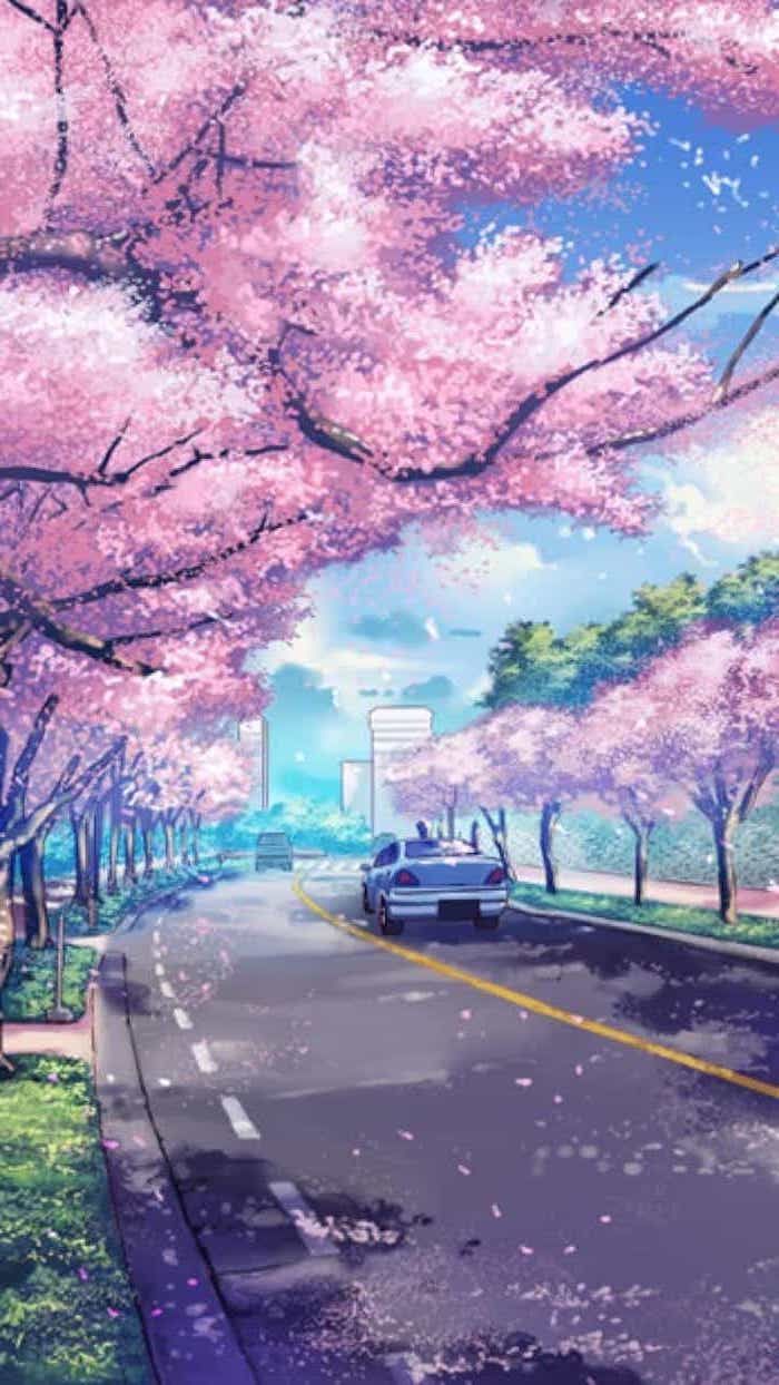 700x1244   painting-car-path-phone-wallpaper-pink-blooming-tree-over-road-free-spring-wall… в 2020 году | Обои для рабочего стола Аниме Пейзажи Обои для рабочего стола Аниме Обои для телефона Japan