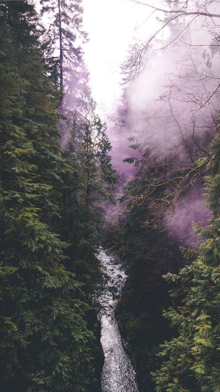 736x1310   Скачать лучшие обои Amoled для Android для вашего - Обои для телефона Канада Ванкувер - 736x1310 Обои - teahub.io 