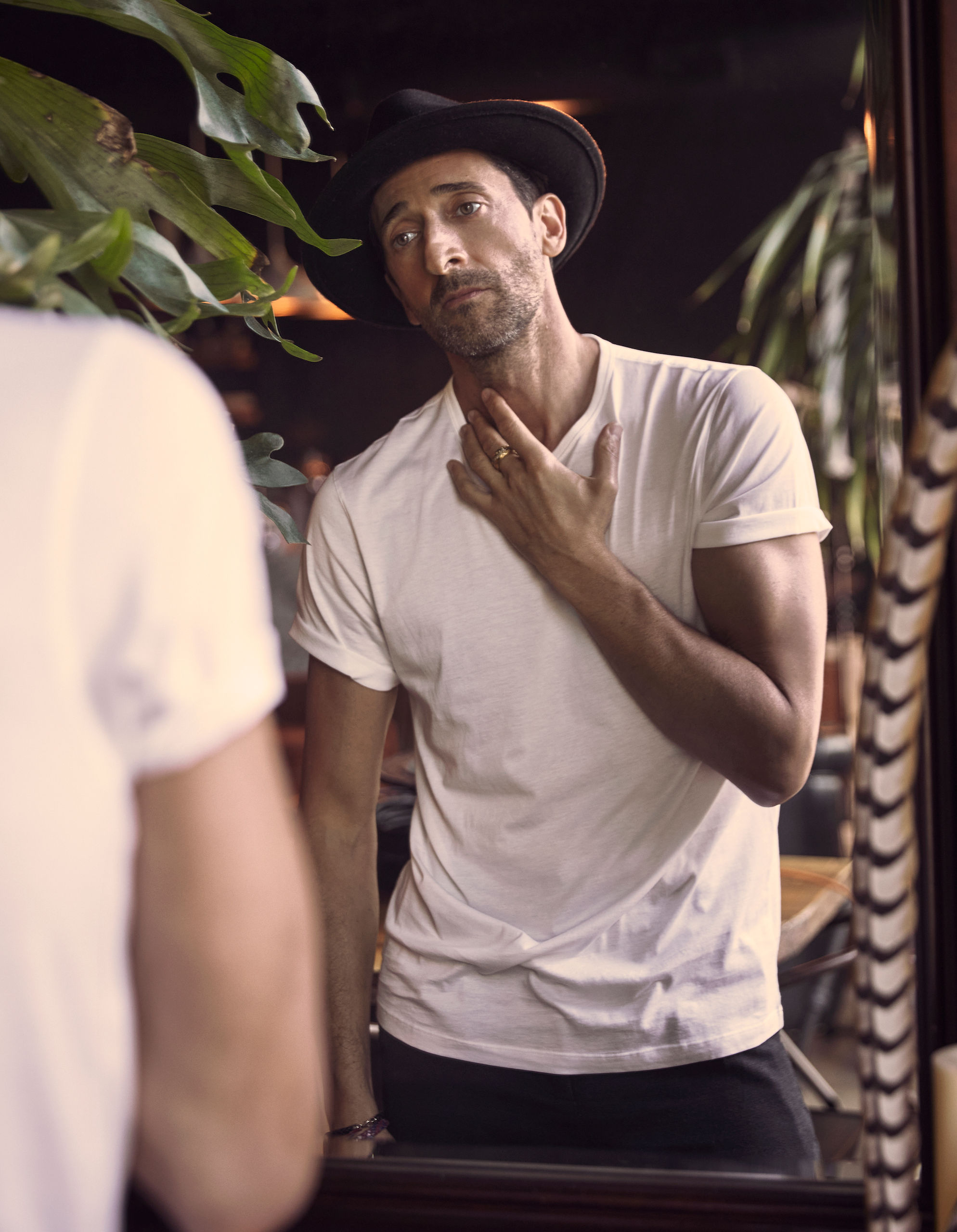 1988x2560  Darjeeling Limited DVD Jetzt Bei Weltbild.de Online Bestellen