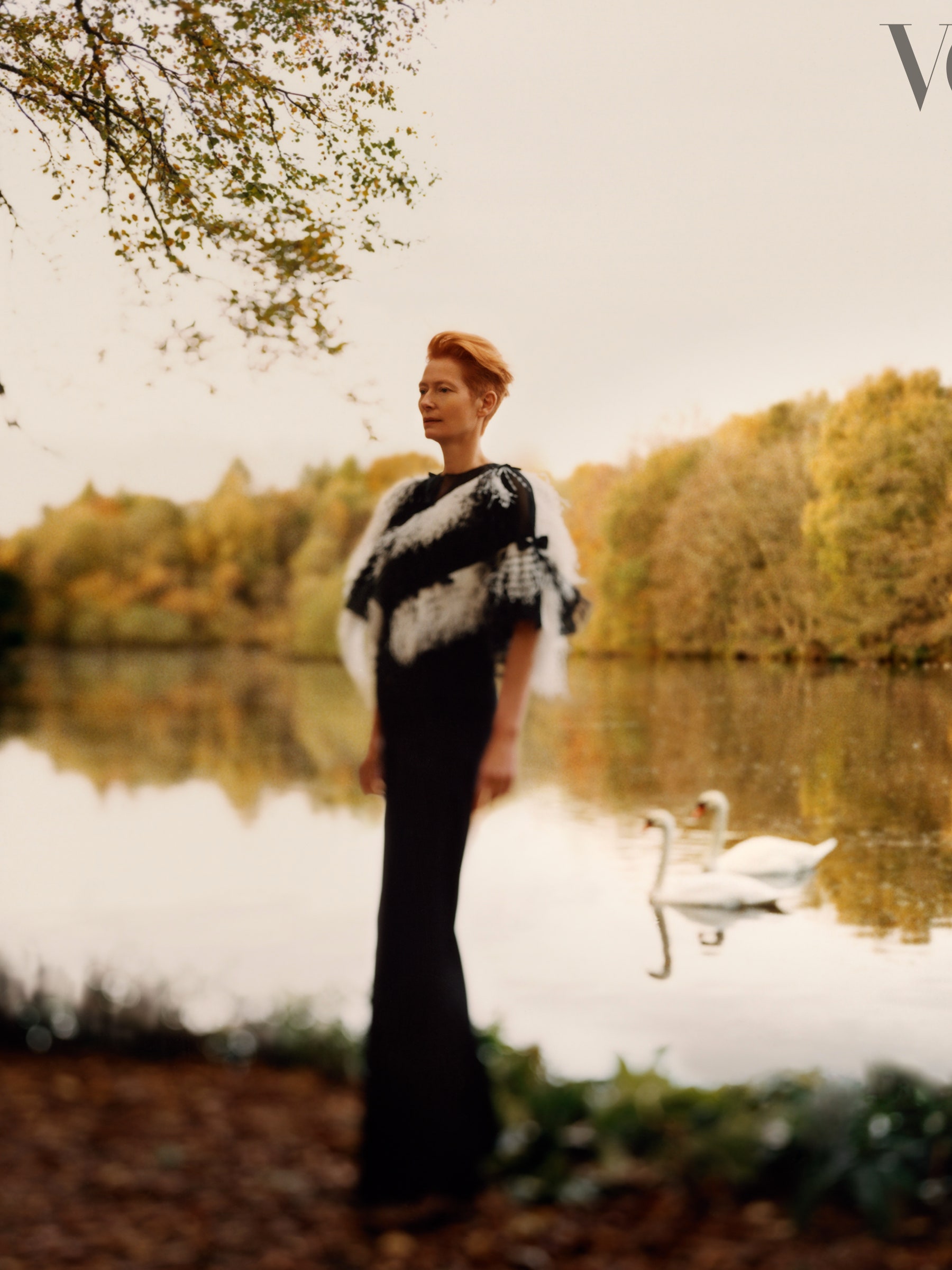 1800x2400  Тильда Суинтон - изображения профиля - база данных фильмов (TMDB)