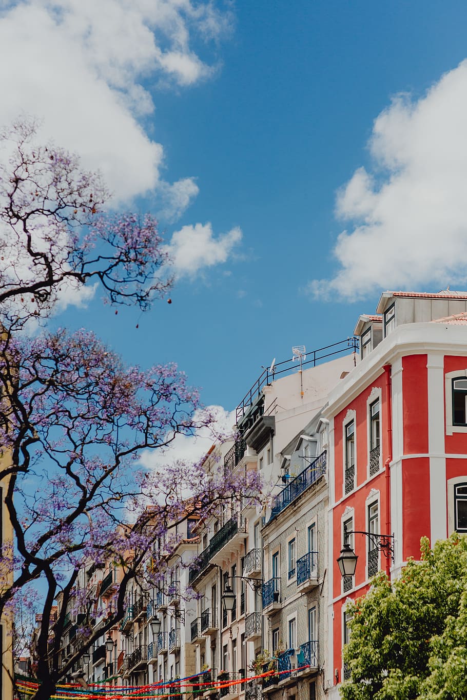 910x1365  HD обои: Лиссабон Архитектура Португалия здания город город Европа | Обои Flare