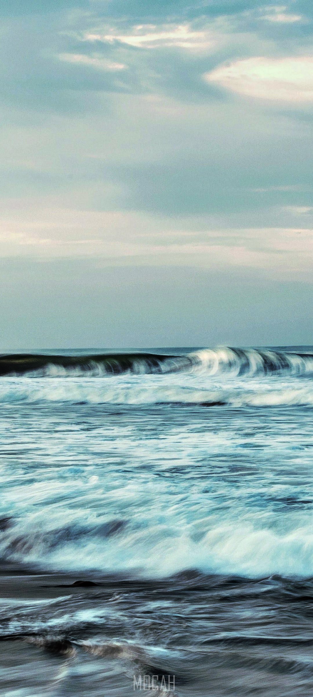 1080x2400  Обои для любителей ежа Эми Роуз