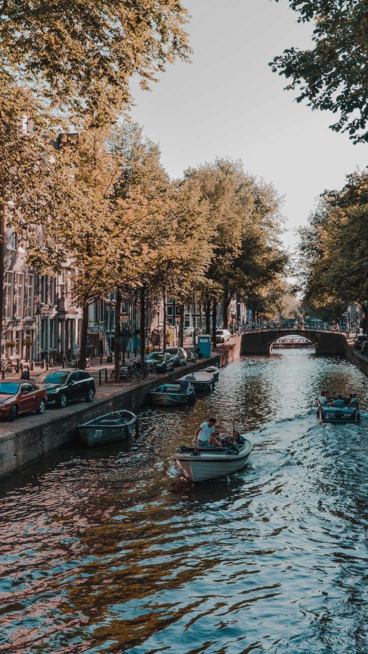 736x1308  A Amsterdam iPhone Wallpapers - Лучшие бесплатные фоны для iPhone в Амстердаме - WallpaperAccess