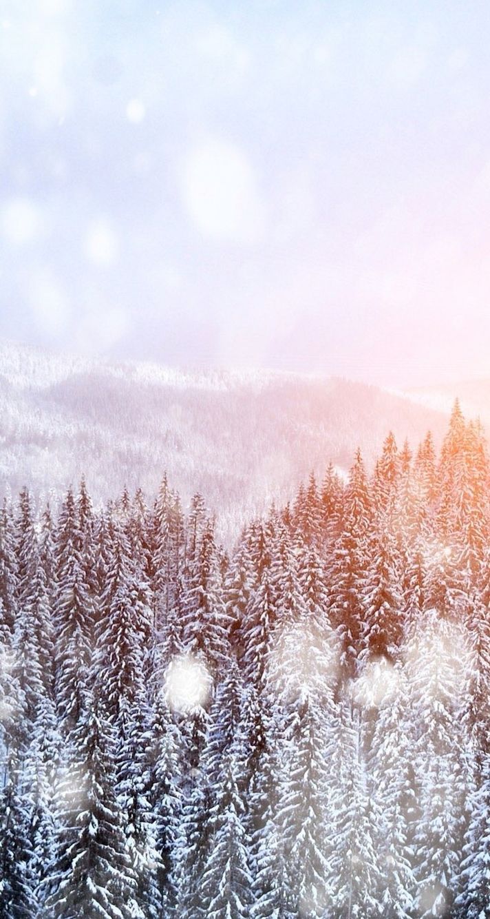 712x1334 Winter Wallpaper for Iphone - KoLPaPer - Awesome Free HD Wallpapers 