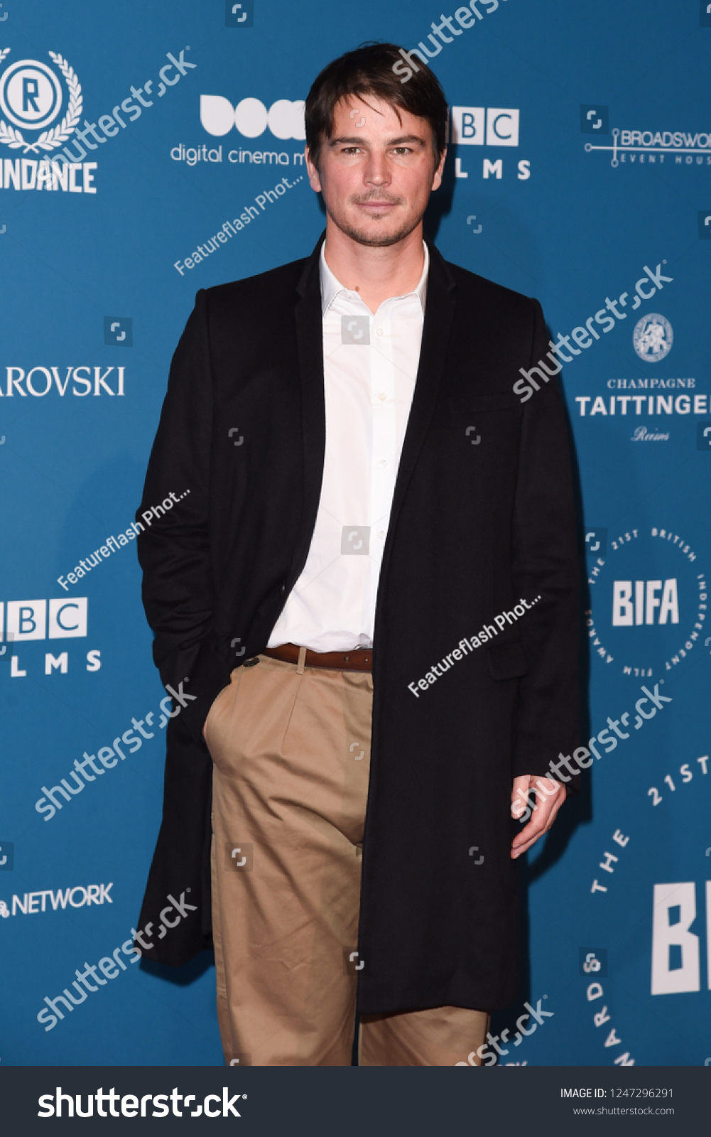 1001x1600  Картина Джоша Хартнетта