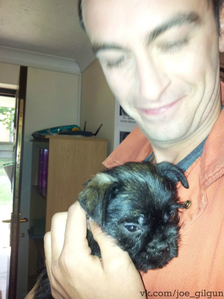 768x1024  110 ღ Джо Гилгун ღ- Ideen | Party Rock, Verlorene Seelen, W460