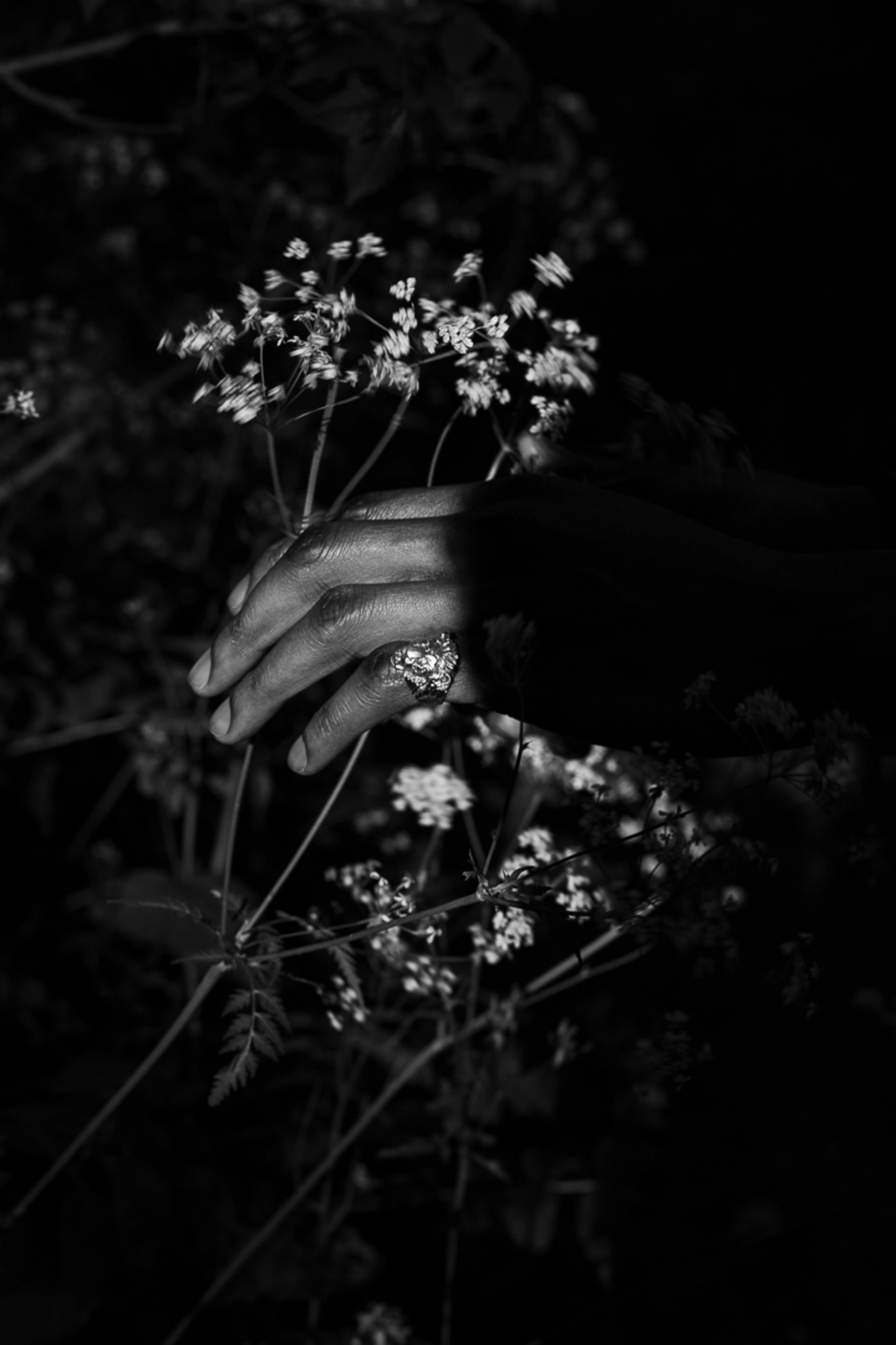 1920x2880  Майкл Дуглас, чтобы сниматься и создать «Охват» - Albuquerque Journal