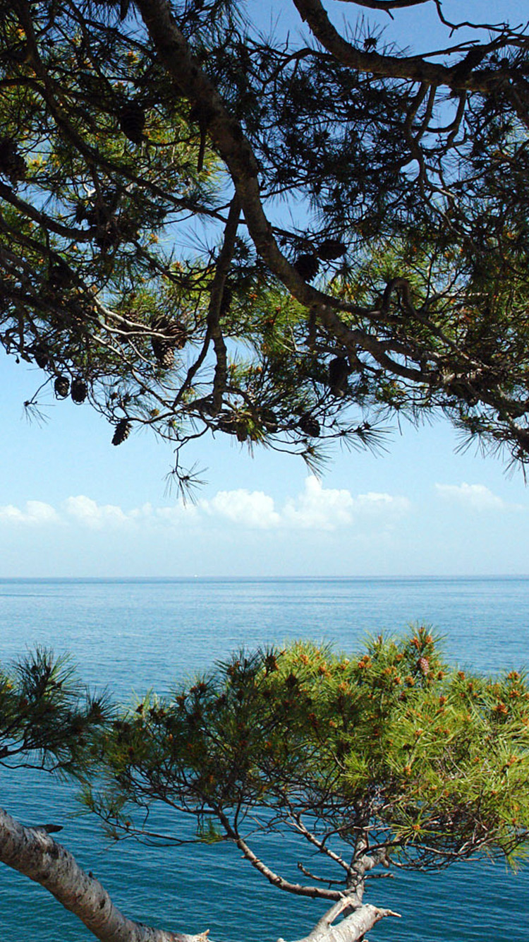 750x1334  Croatia Natural Скачать бесплатно обои для телефона