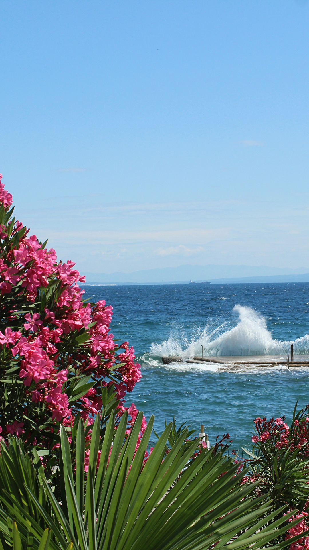 1080x1920  Image Опатия Хорватия Море Природа Волны Олеандр Марины 1080x1920