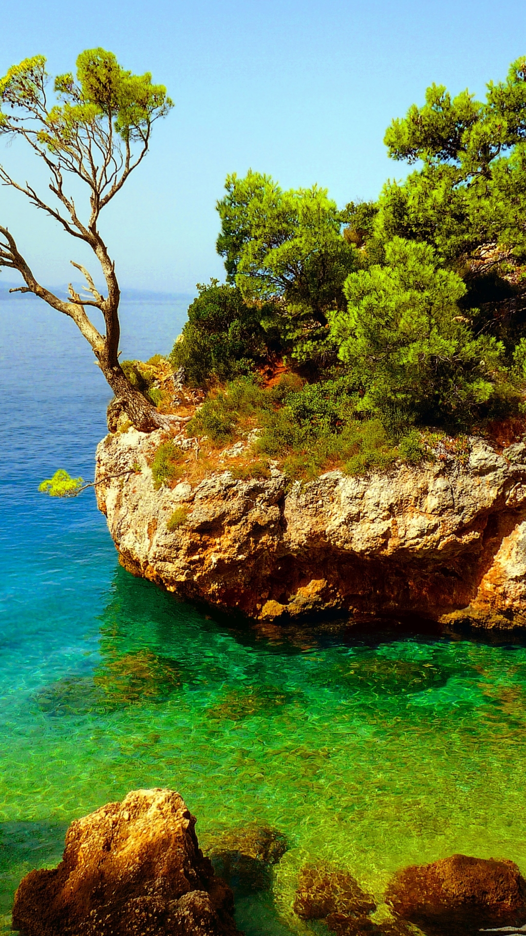 1080x1920   Бесплатно скачать обоиWidecom Хорватия HD обои для рабочего стола в формате 4K Ultra [3200x2400] для рабочего стола Мобильный \ планшет | Изучите 47+ обоев Хорватия | Хорватия Обои Хорватия Флаг Обои Сборная Хорватии по футболу Обои