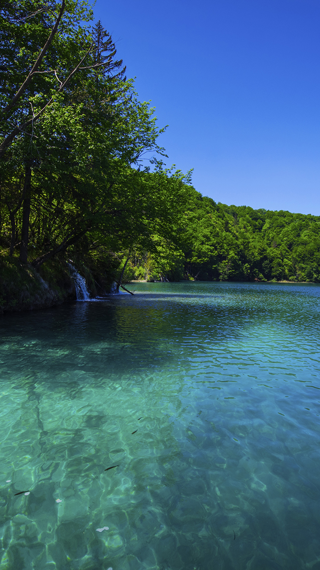 1080x1920   Изображения Хорватия Национальный парк Плитвицкие озера Природный парк 1080x1920