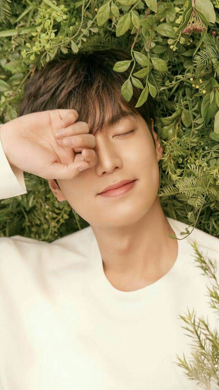 736x1308  YouTube | Lee Min Ho, Lee Min Ho Smile, Lee Min Ho обои iPhone