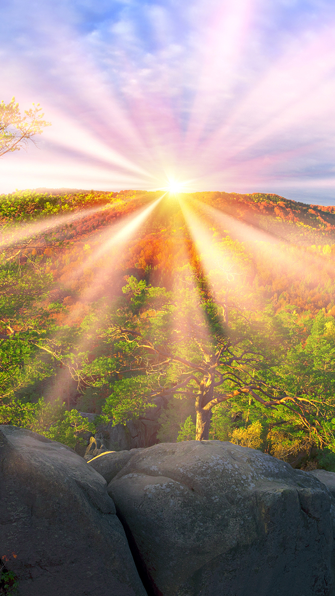1080x1920  Десктоп Обои Лучи света Закарпатье Украина Солнце 1080x1920