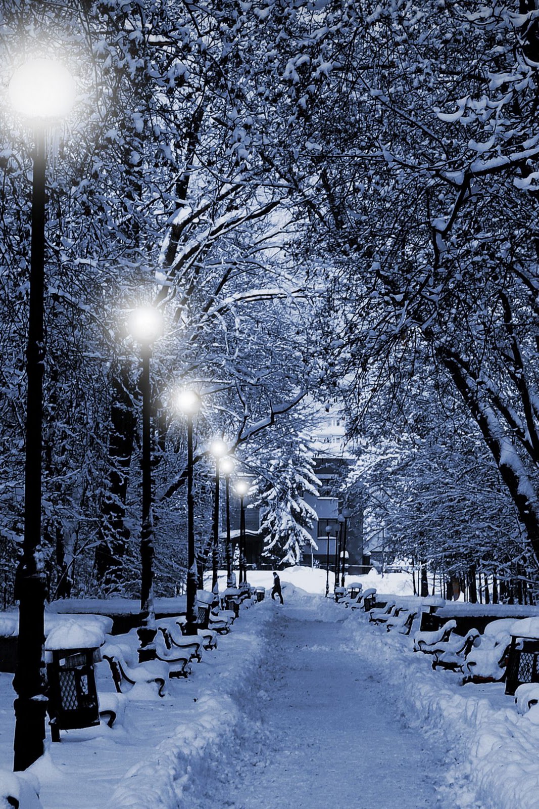 1067x1600 Winter Wallpaper Phone - KoLPaPer - Awesome Free HD Wallpapers 