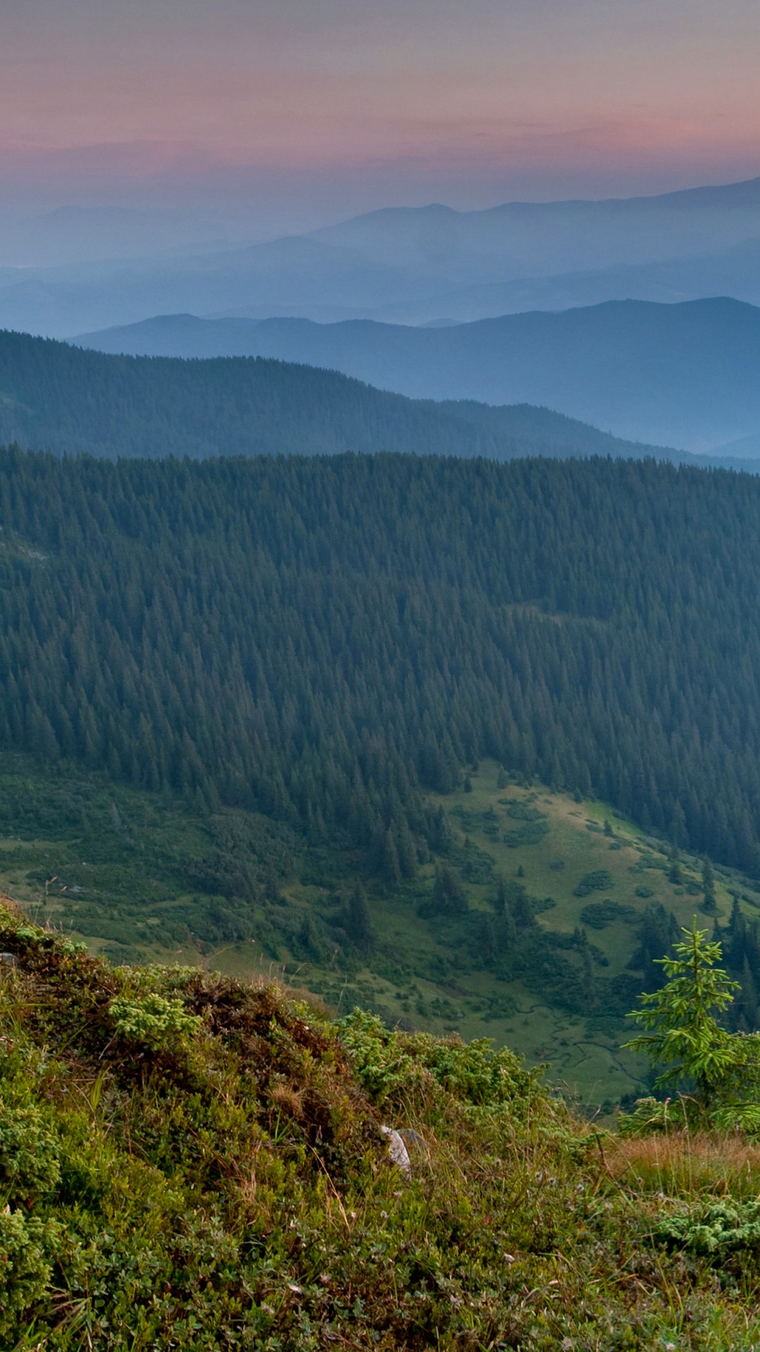 1080x1920   Обои Карпаты Украина 4K Природа # 5927 | Wallpaper for iPhone Android Mobile and Desktop