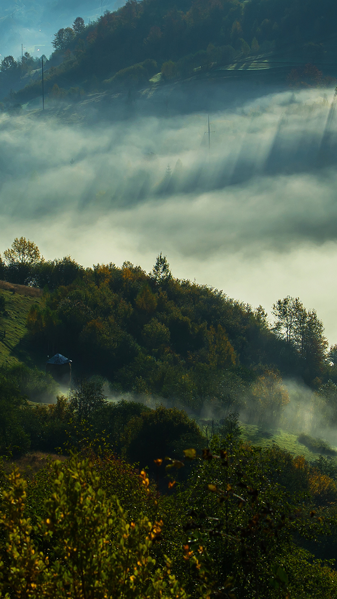 1080x1920   Картинки Закарпатье Украина Туман Природа Горы Леса 1080x1920