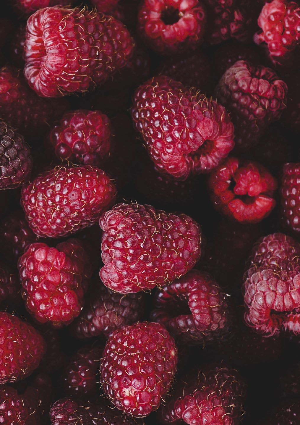 1015x1437   Hfm10 | Макросъемки Зеленые фоны Фотография фруктов 