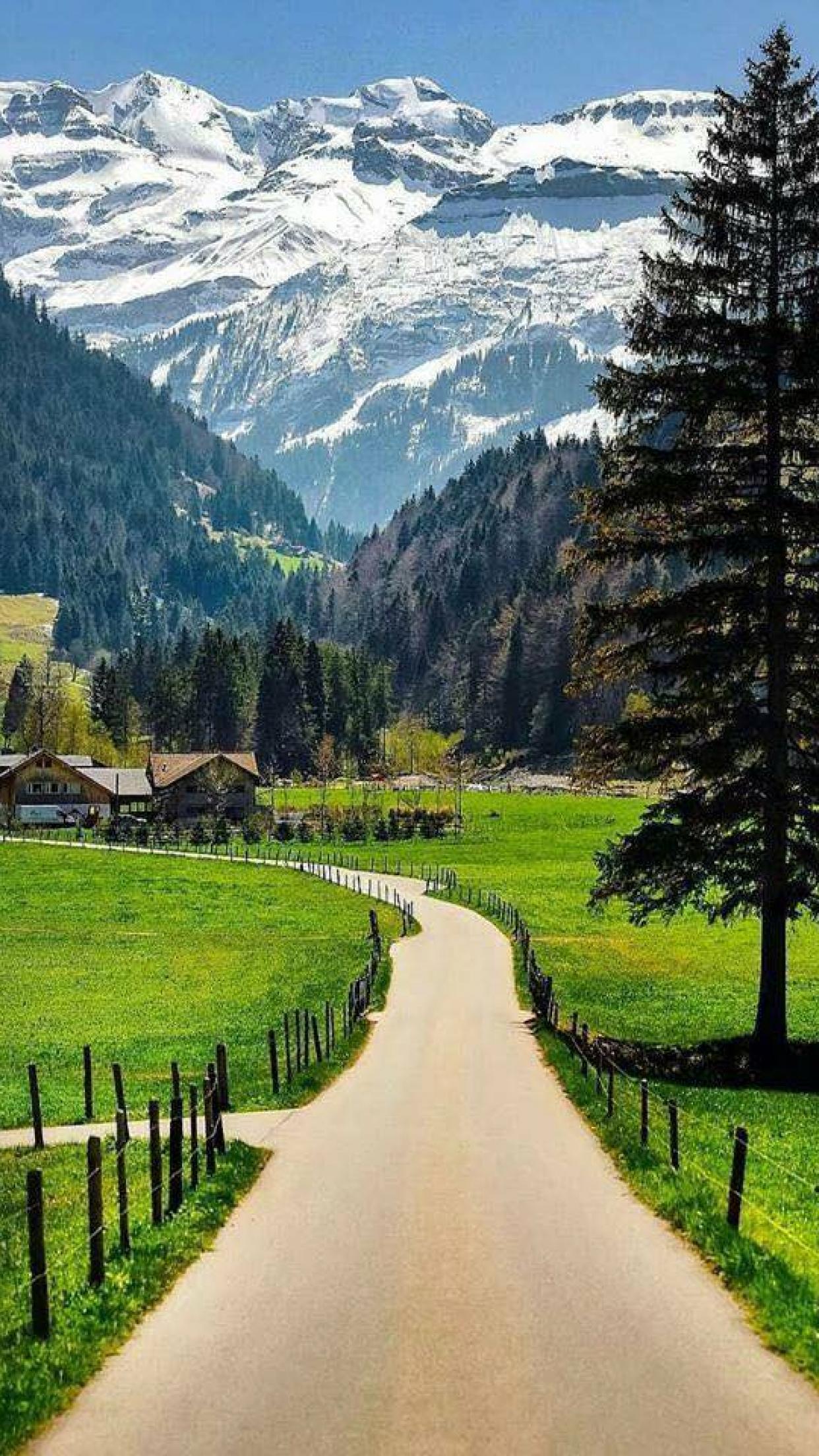 1242x2208   Очаровательный и мирный вид Швейцарии! | Скачать обои