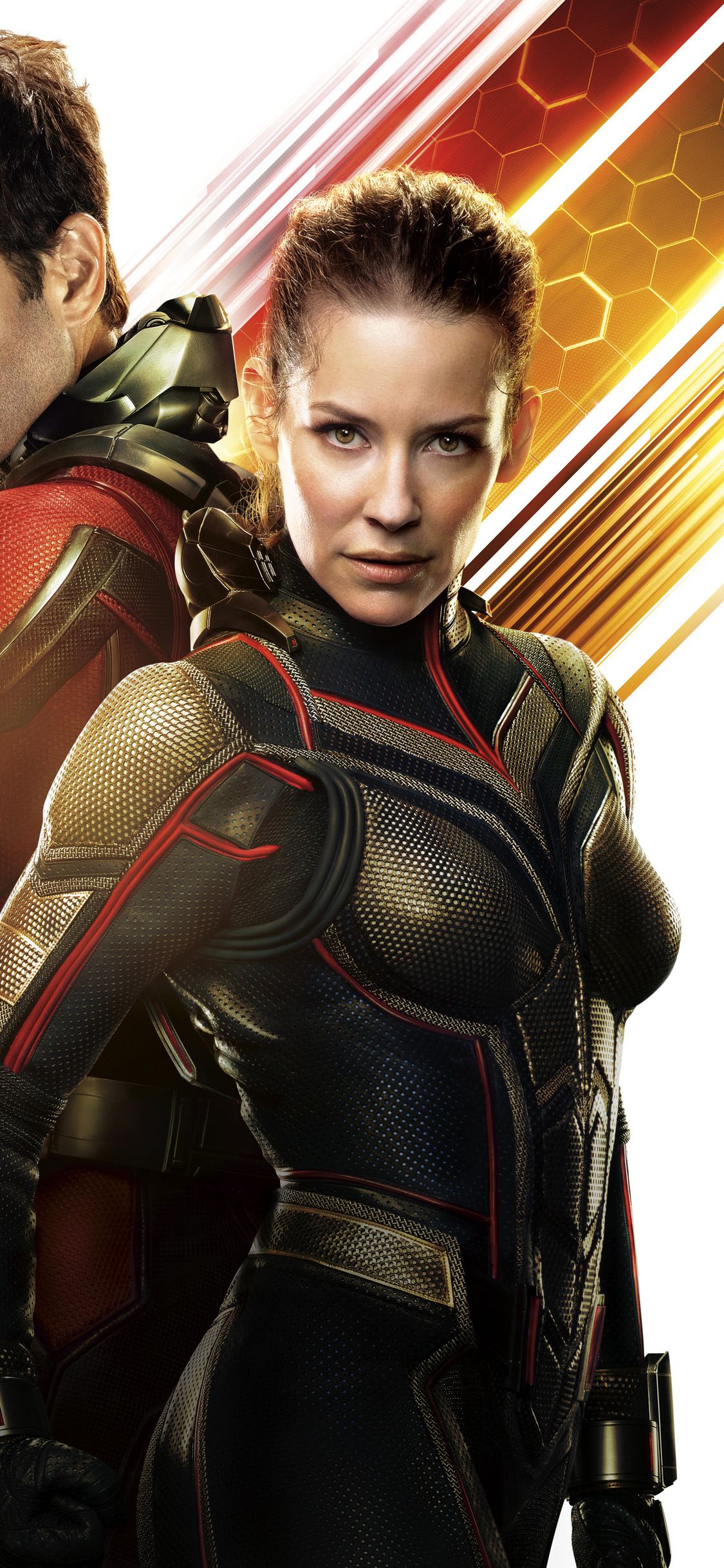 1125x2436  Ant Man и Osp Movie 12K в 1125x2436 Резолюция | Оса, фильм, оса, муравей
