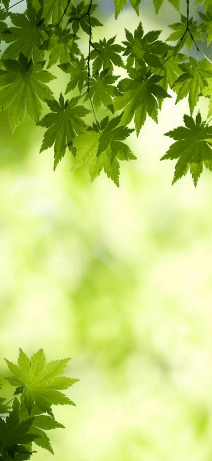 720x1560  720x1560 Обои HD - S202 - Прохлательные обои