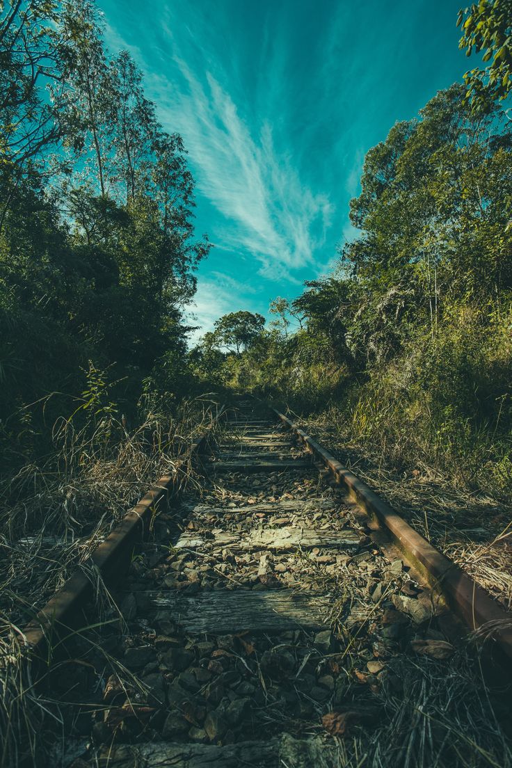 736x1104  Brown Railroad #Railway #Trees #Grass #SKY #5K #WALLPPOOK #HDWALLPPOOK #DESKTOP | Зеленая природа обои, лучшие обои природы, HD Nature Wallpapers