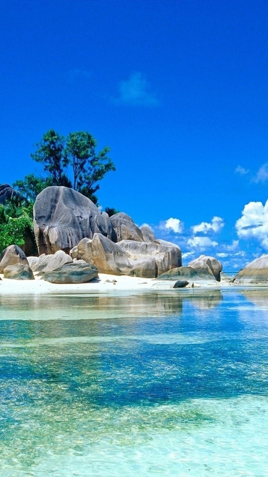 900x1600  HD Wallpapers 1080p Скачать для мобильных устройств - 900x1600 Обои - чай