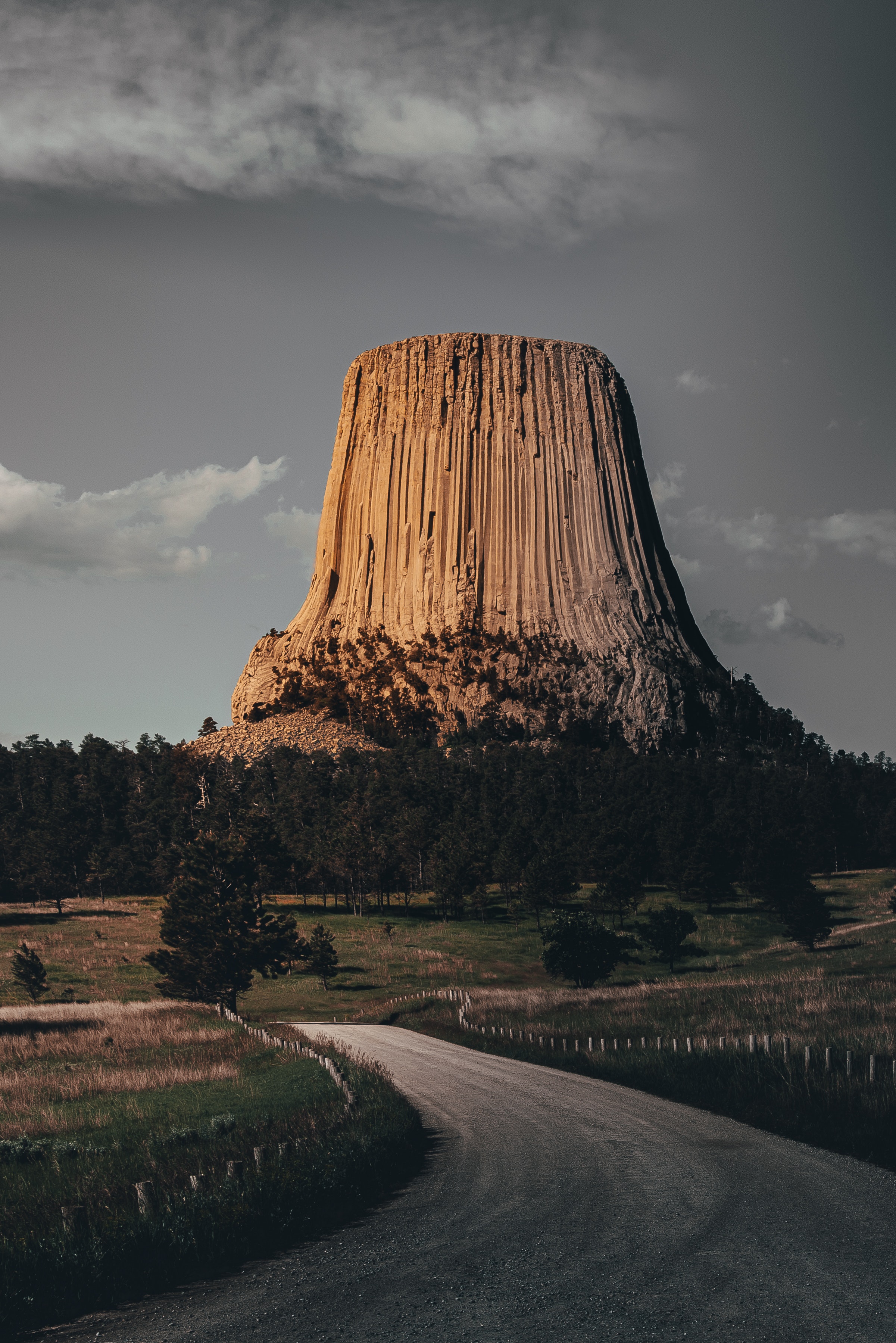 2401x3598  200.000+ натуральные обои Bilder und fotos · Kostenlos Downloaden · Pexels Stock-fotos