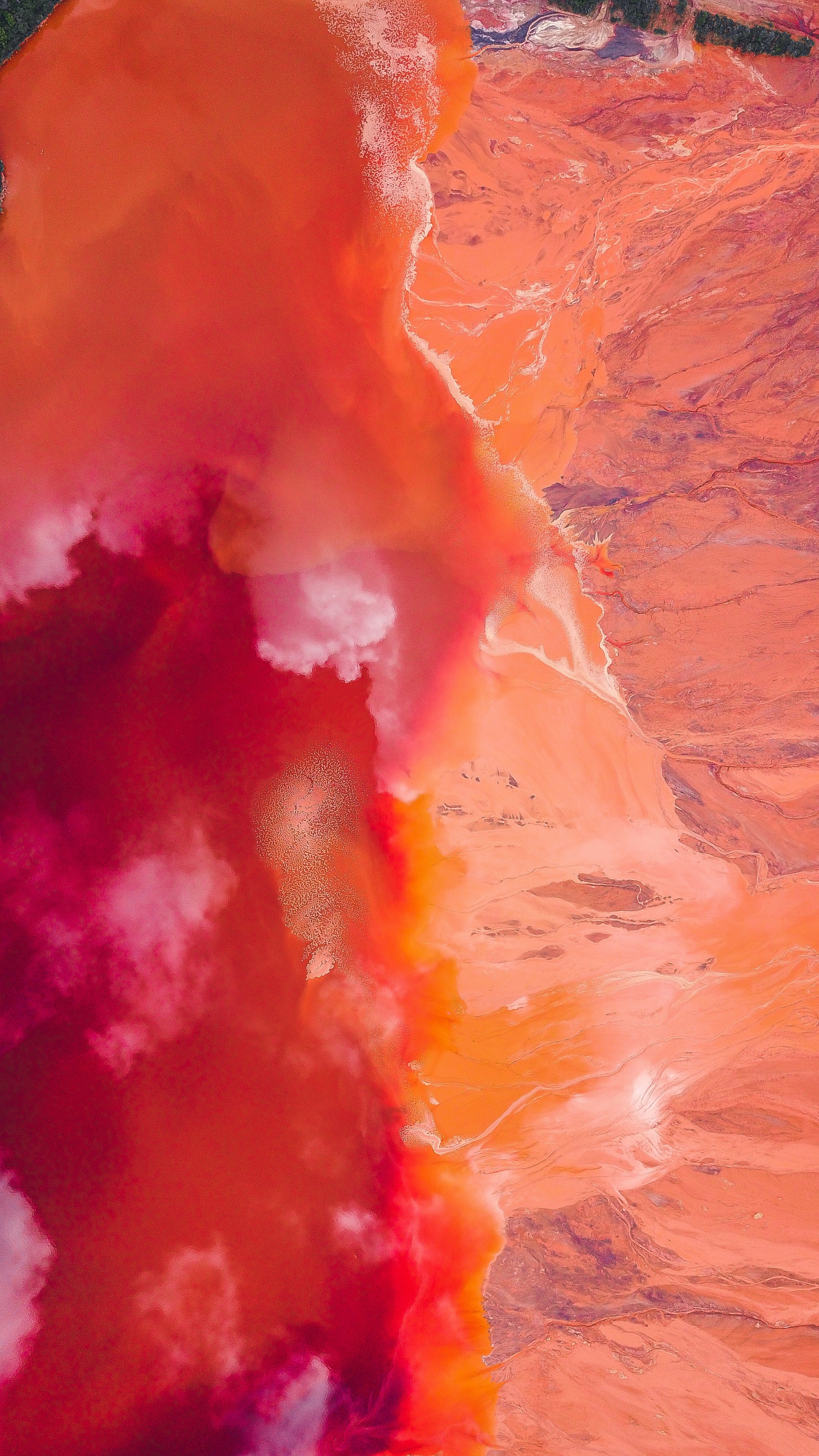 2250x4000  Яркие фотографии, загрузите лучшие бесплатные яркие изображения \ u0026 HD -изображения