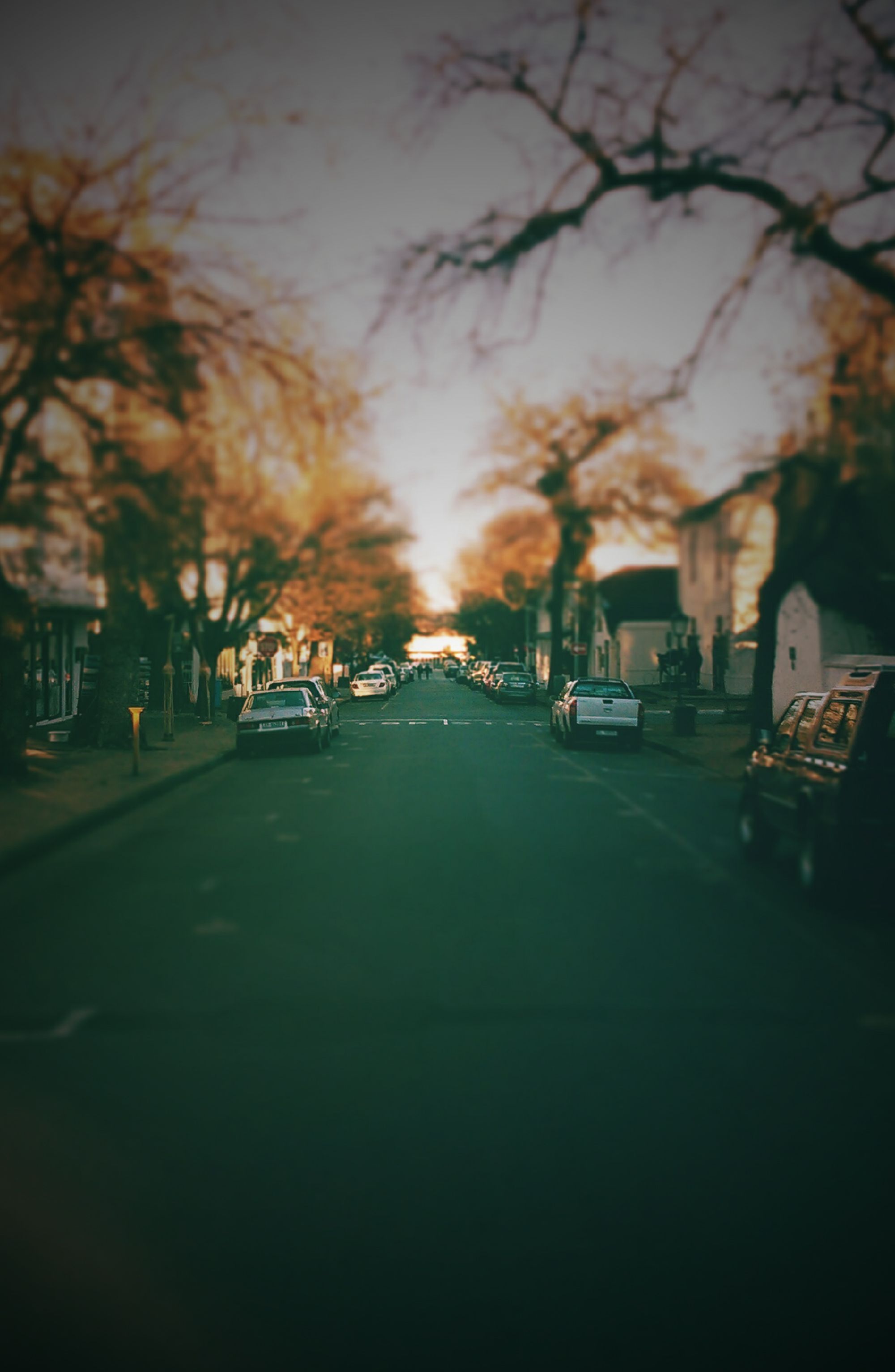 2000x3065   Снято в Стелленбосе, Южная Африка. # обои # фоновые обои. | Обои для телефона Stellenbosch Africa