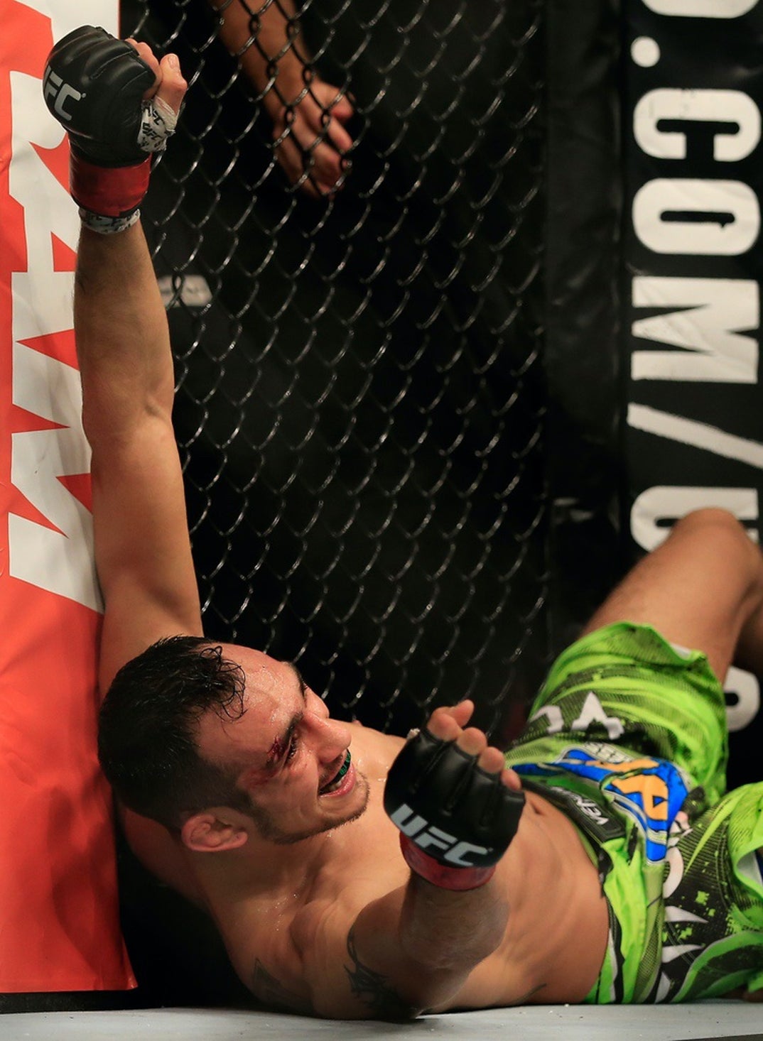 1074x1466  Khabibtheagle666, MMA, UFC, Eagle, Khabib Nurmagomedov, HD Телефон Обои | Пикпкс