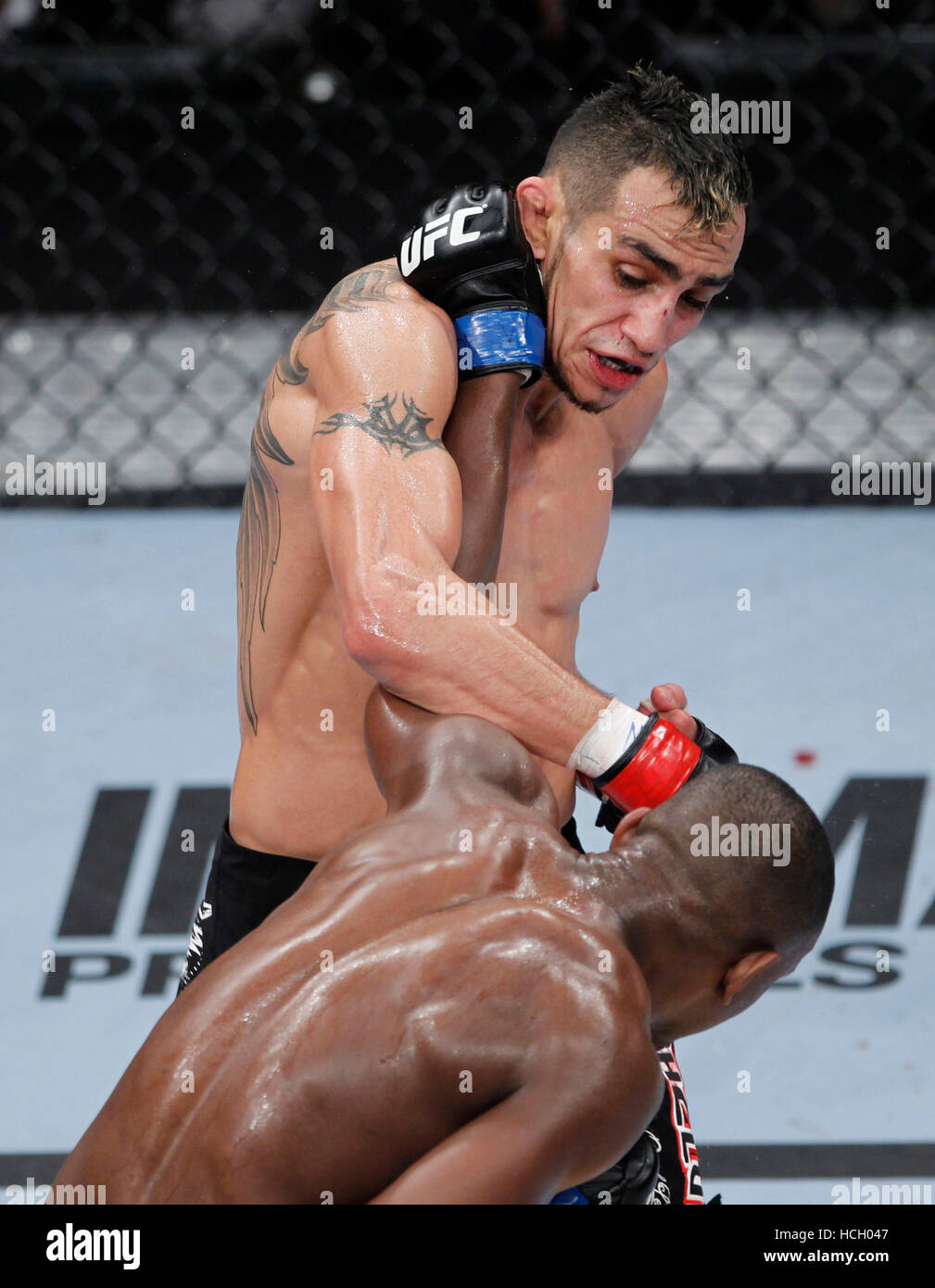 1009x1390  ПРОМОТ ДЛЯ БЛОНЕНИЯ ХАБИБА ВАСА ФЕРГУСОНА