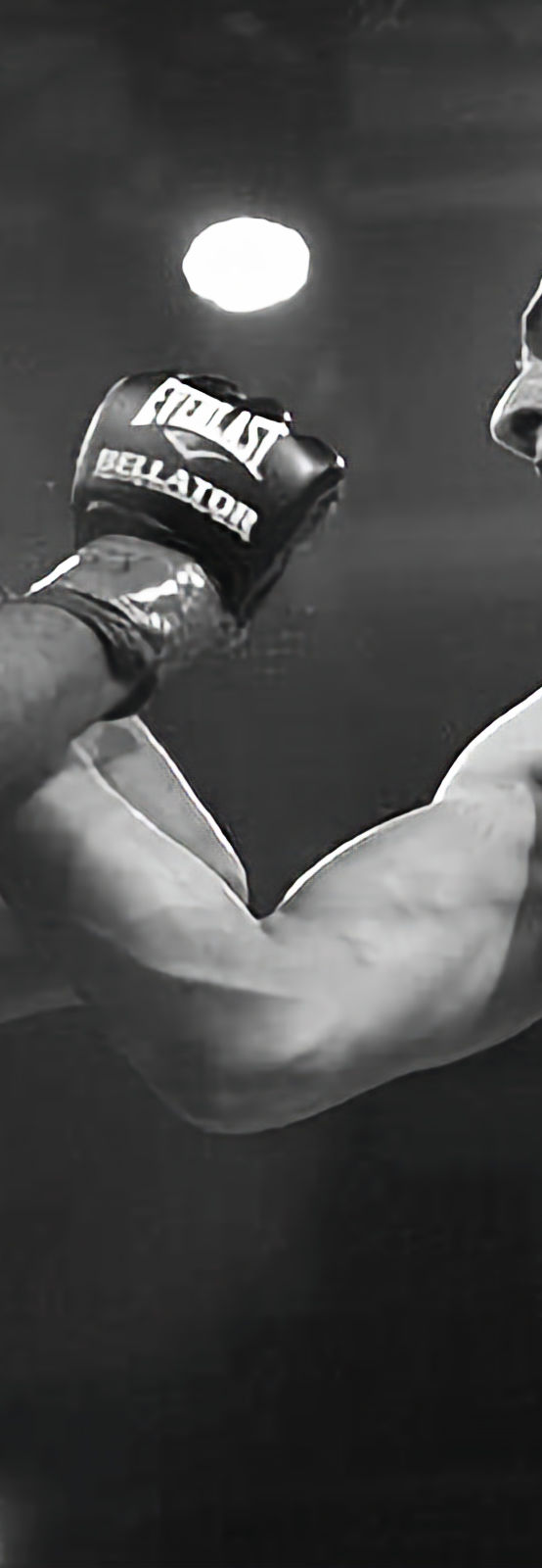 554x1600  Локомотив \ "| доблесть боевые искусства