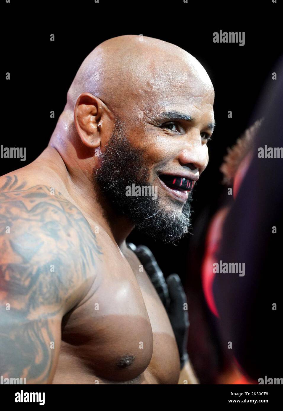 956x1390  Bellator Bild -fotos und -bildmaterial в Hoher auflösung -Alamy