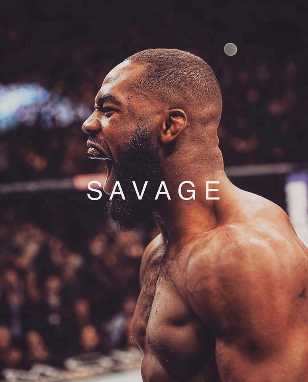 1080x1338  Jon Jones Group, UFC Belt HD Телефон Обои | Pxfuel