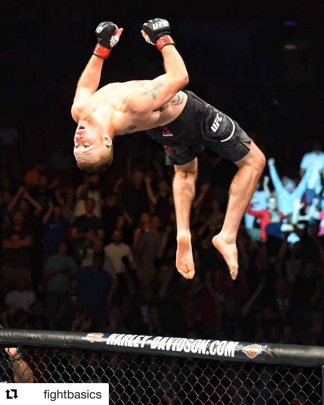 1080x1350  Хабиб против Гатье, боец, Гатье, Хабиб, ММА, UFC, HD Телефон Обои | Пикпкс