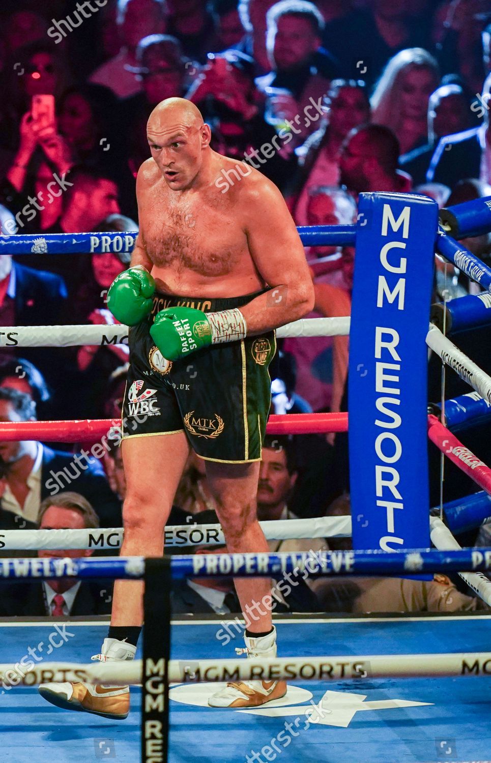 965x1500  10 лучших боксеров в мире 2022