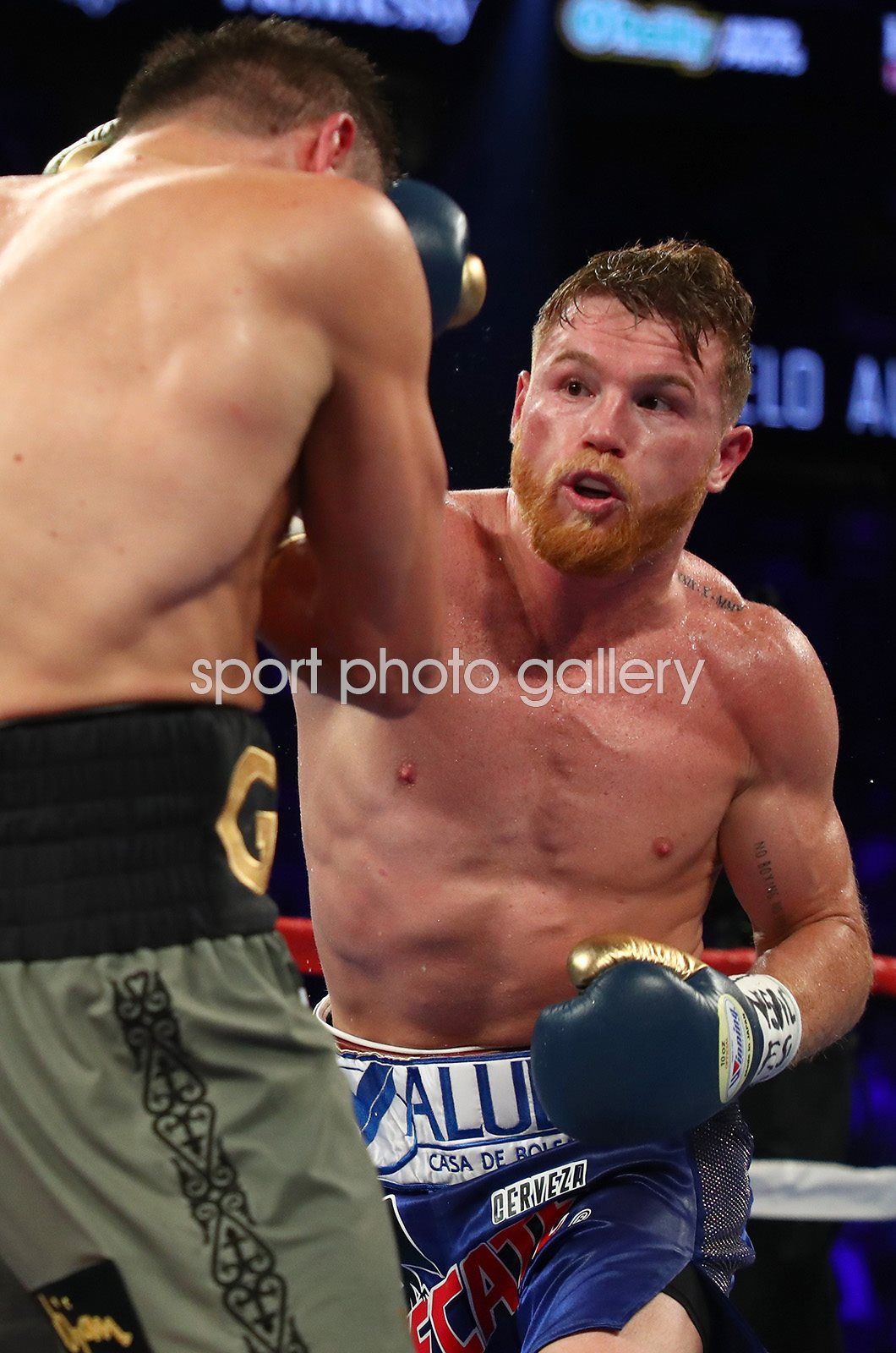 1060x1600  Лучшие обои Canelo Alvarez ｜ Tiktok Search