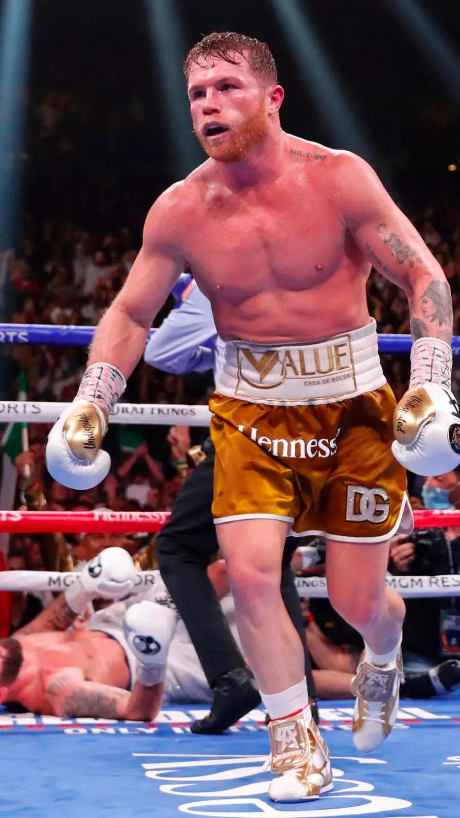 900x1600  Imagenes de Gera Mxm, Fotos de Boxeo, Saul Canelo Alvarez