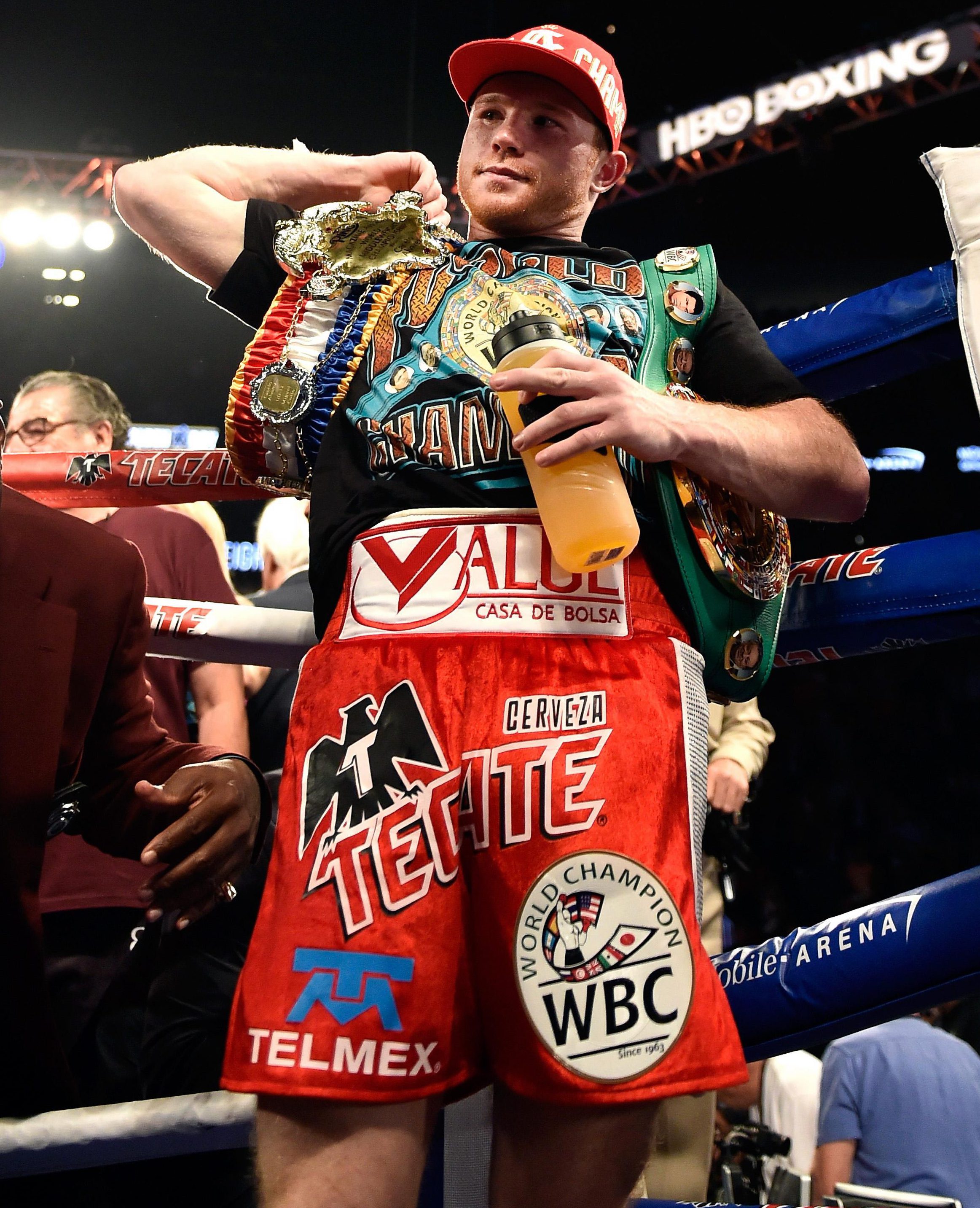 2325x2865  Лучшие обои Canelo ｜ Tiktok Search