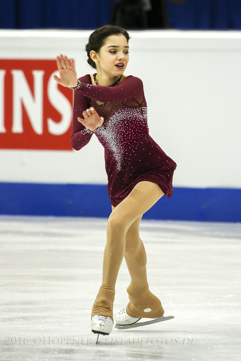 800x1200  Цветы, которые похожи на ваши любимые (@flower_faves) / Twitter