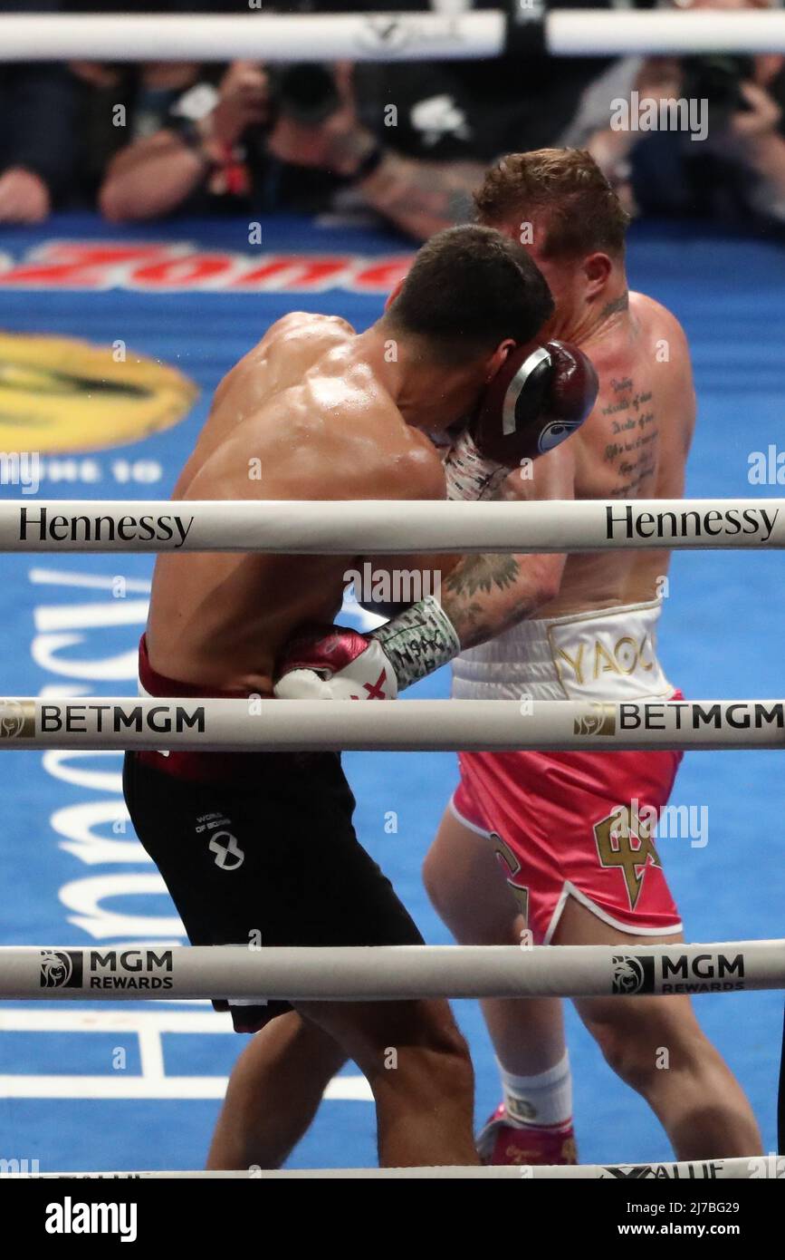 867x1390  WMAF HAPA: Dmitry Bivol: R/WMAFS