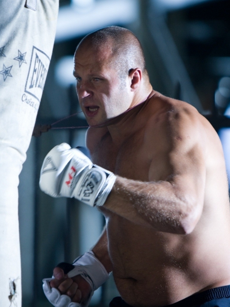 768x1024  Обои по телефону смешанных боевых искусств - мобильная пропасть