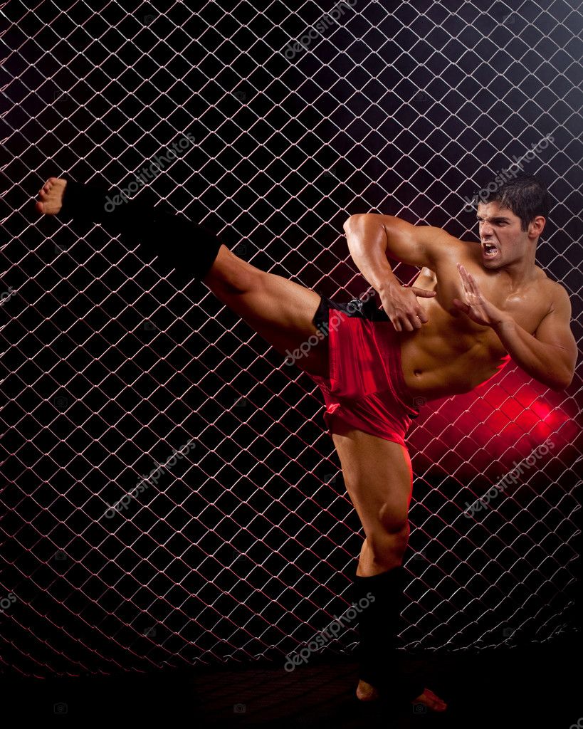 819x1024  Meisha Tate - Высокое определение, HD -обои высокого разрешения: высокое определение, HD -обои высокого разрешения