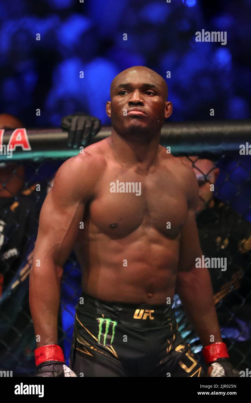 866x1390  UFC ремень HD обои | Pxfuel