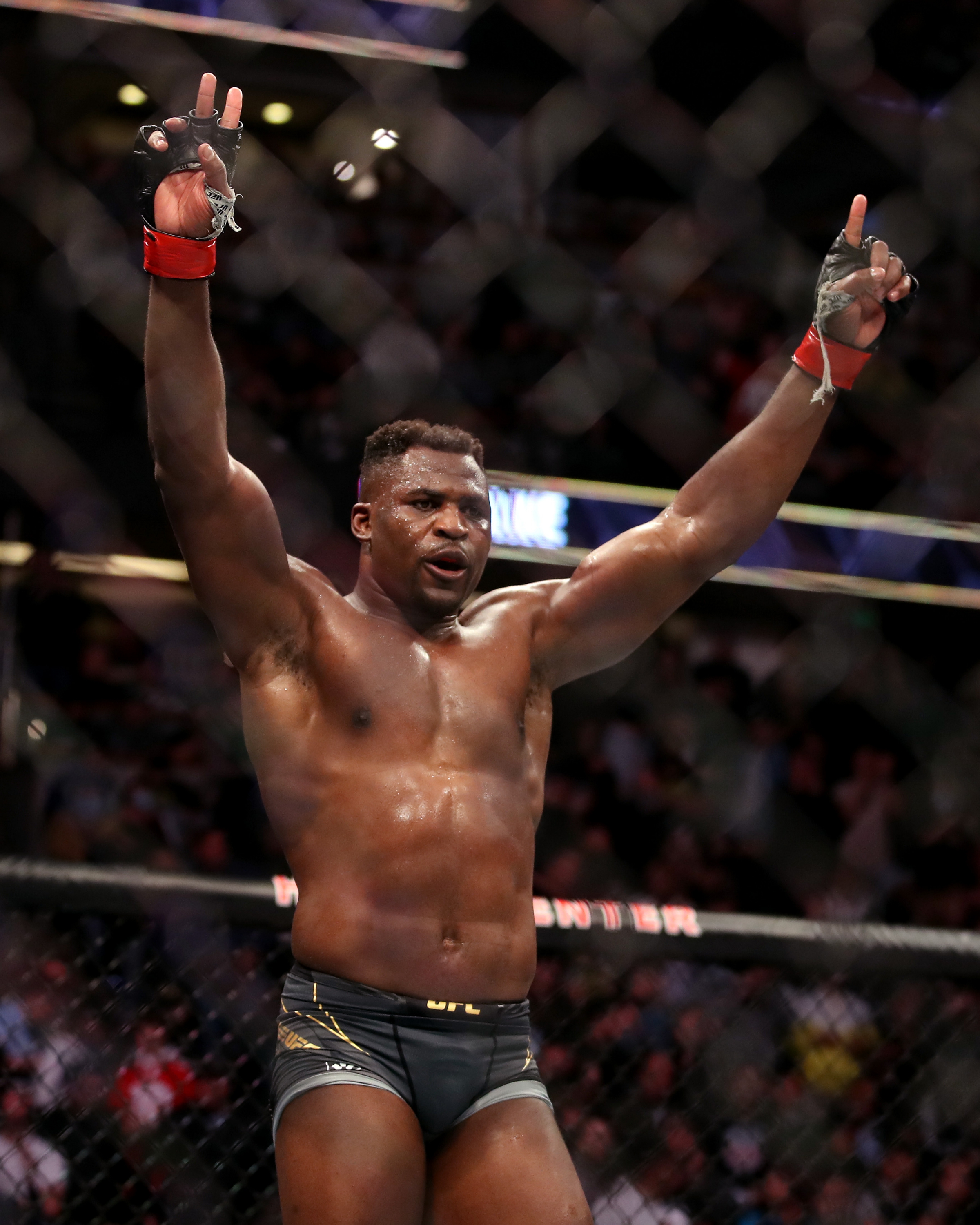 2400x3000  Чемпион UFC в супертяжелом весе Фрэнсис Нганну призвал переключиться на бокс | Fox Sports