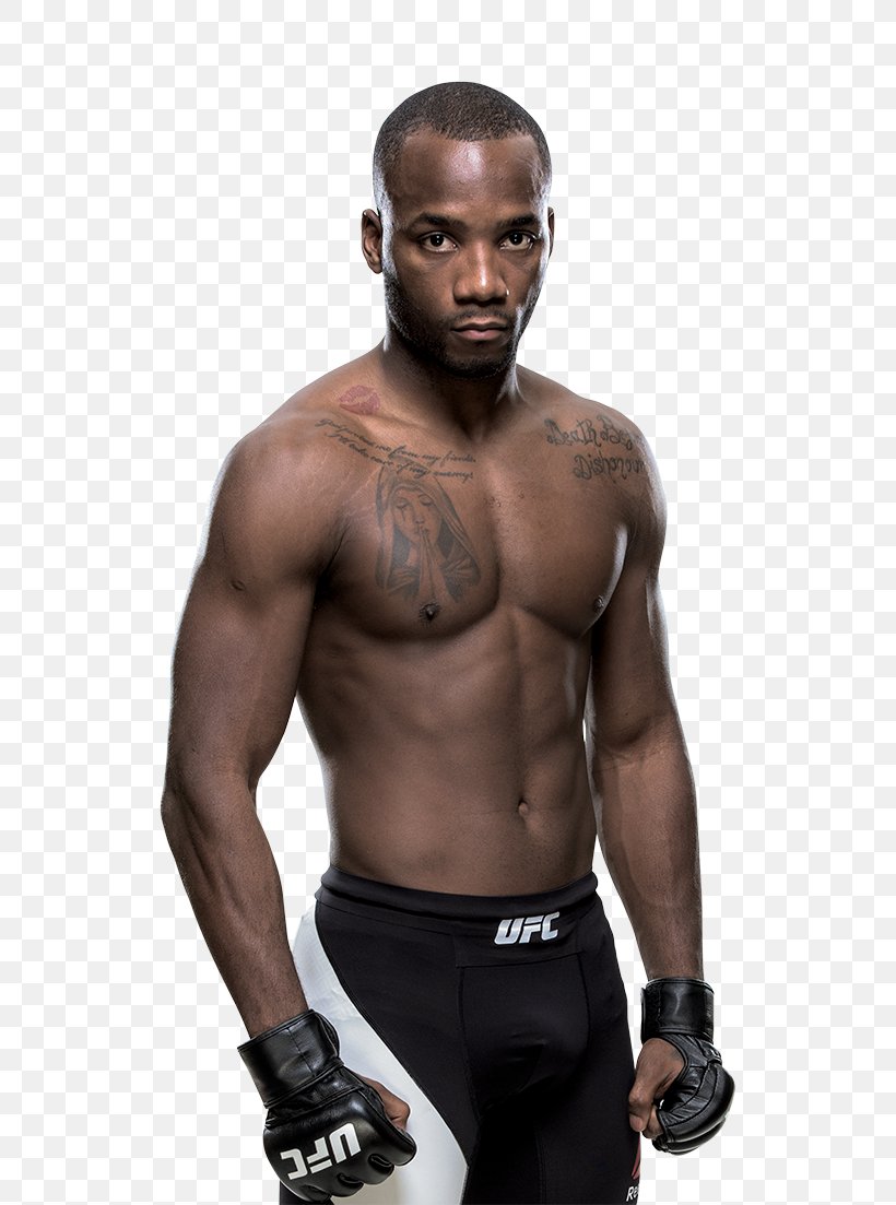 820x1103  Фрэнсис Нганну смешанные боевые искусства UFC Fight Night 127: Лондон UFC, PNG, 720x1103px, акварель, мультфильм, цветок,