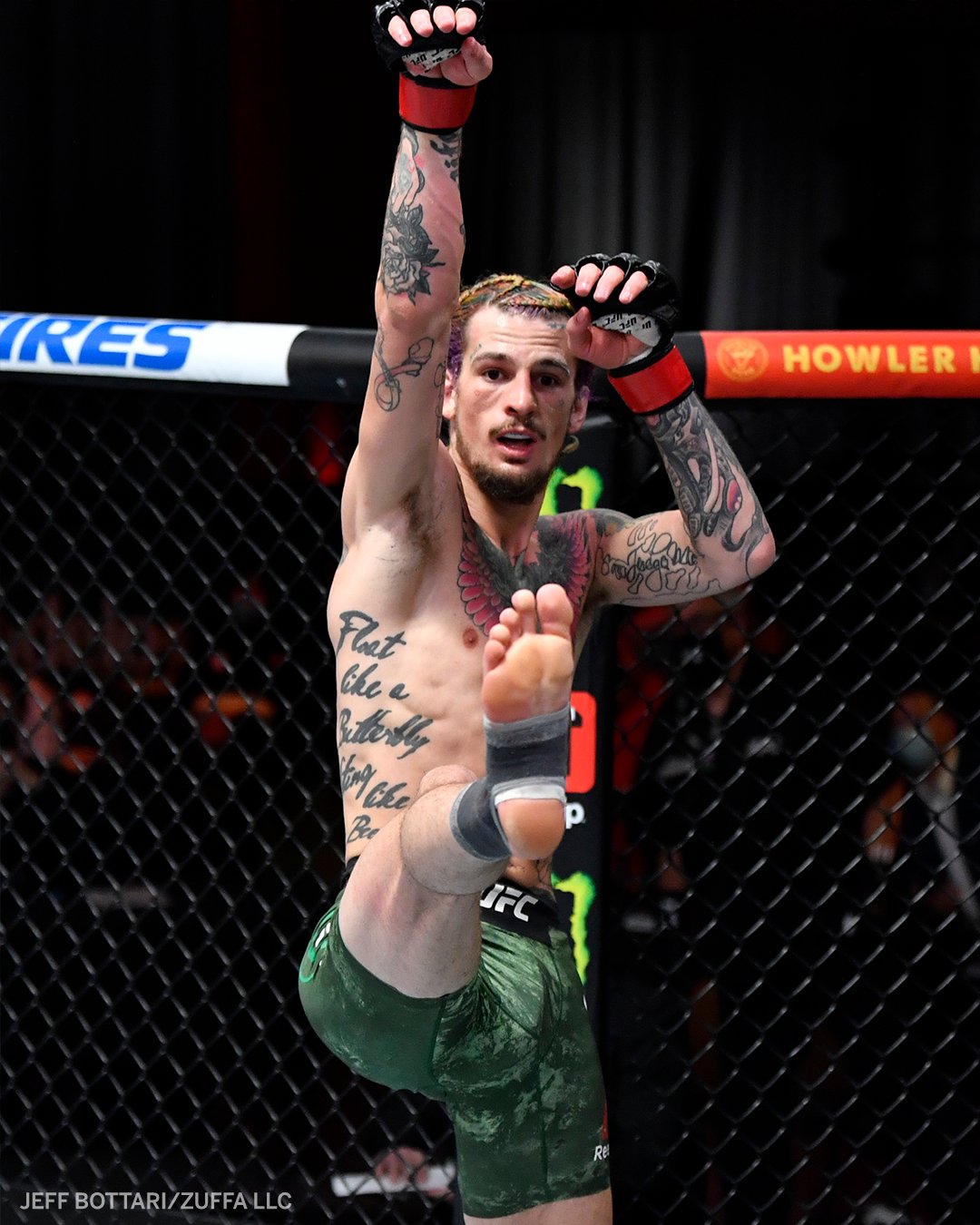 1080x1350  Sean o Malley // UFC на Behance