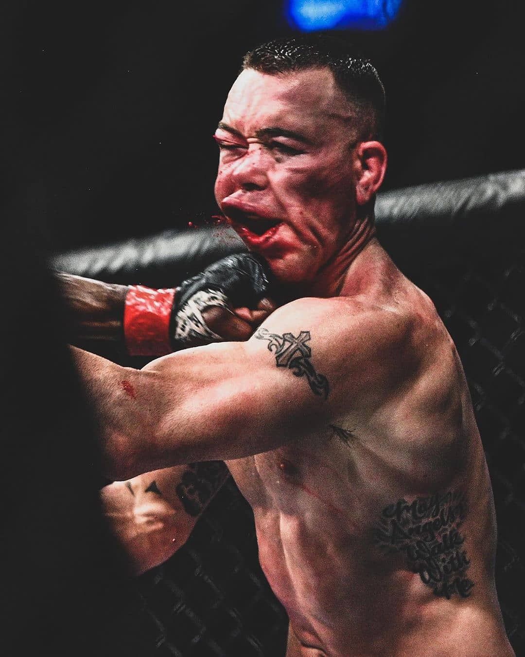 Колби Ковингтон угрожает Хорхе Масвидал и Дастин Пуарье HD обои | Pxfuel